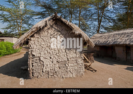 typical tanzanian hut, Tanzania, Mto wa Mbu Stock Photo