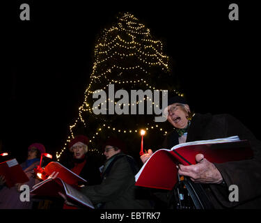 Wakehurst Place, Sussex, UK. 4th December, 2014. The UK's tallest living Christmas Tree is switched on during Glow Wild at Wakehurst. The 135ft Sierra Redwood California tree is lit by 1800 lights. The evening also featured a lantern lit walk through the garden ending at a fire feature by 'And Now' called 'Gold, Frankincense and Myrrh' . Credit:  Julie Edwards/Alamy Live News Stock Photo