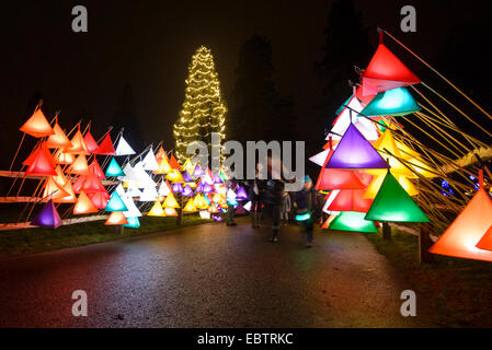 Wakehurst Place, Sussex, UK. 4th December, 2014. The UK's tallest living Christmas Tree is switched on during Glow Wild at Wakehurst. The 135ft Sierra Redwood California tree is lit by 1800 lights. The evening also featured a lantern lit walk through the garden ending at a fire feature by 'And Now' called 'Gold, Frankincense and Myrrh' . Credit:  Julie Edwards/Alamy Live News Stock Photo