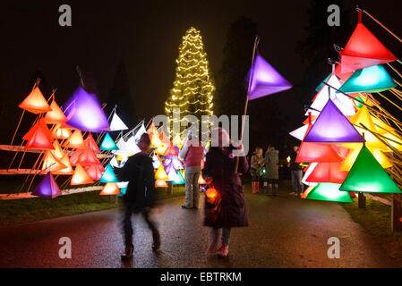 Wakehurst Place, Sussex, UK. 4th December, 2014. The UK's tallest living Christmas Tree is switched on during Glow Wild at Wakehurst. The 135ft Sierra Redwood California tree is lit by 1800 lights. The evening also featured a lantern lit walk through the garden ending at a fire feature by 'And Now' called 'Gold, Frankincense and Myrrh' . Credit:  Julie Edwards/Alamy Live News Stock Photo