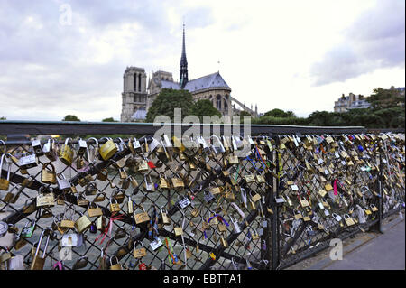 love padlocks at railing of Pont de L'Archeveche, Cathedral Notre-Dame de Paris in background, France, Paris Stock Photo