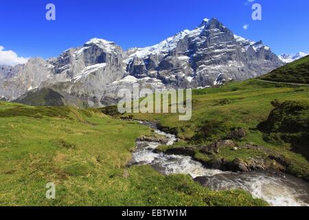 view through the Reichenbachtal at the snow-covered mountains Wellhorn and Wetterhorn, Switzerland, Berne, Rosenlauital, Bernese Oberland Stock Photo