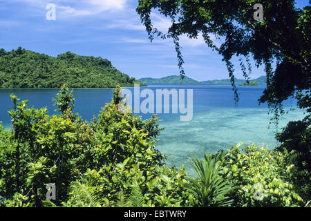 tropical rainforest on Yapen Island, Indonesia, Western New Guinea, Irian Jaya, Yapen Island Stock Photo