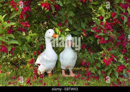 crimson weigela (Weigela floribunda), Sculptures of white geese under a blooming weigela in garden, Germany Stock Photo