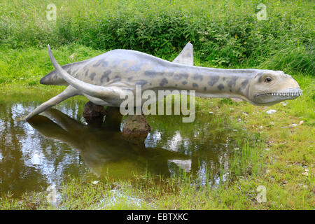 Cryptoclidus (Cryptoclidus), swimming Stock Photo - Alamy