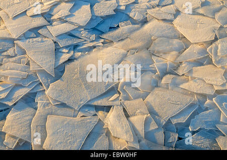 ice floes on a lake in morning light, Germany, North Rhine-Westphalia Stock Photo