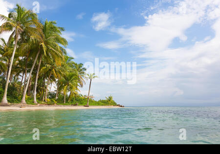 Deserted Starfish beach on the archipelago Bocas del Toro, Panama Stock Photo