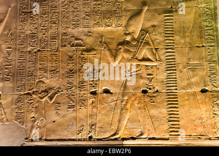 mural relief in the Temple of Edfu, Egypt, Edfu Stock Photo