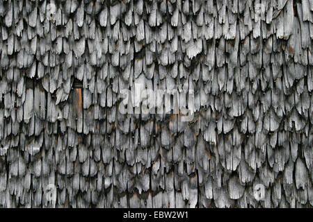 roof panels, Germany Stock Photo