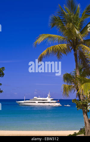 bougainvillea (Bougainvillea spectabilis), Yacht at Long Beach , Saint Martin Stock Photo