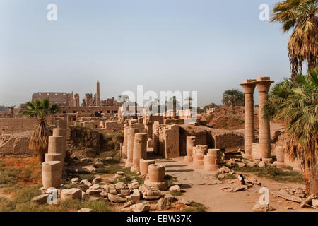 backside of the Precinct of Amun-Re, the largest and most important sanctuary of the ancient Egypt, Egypt, Karnak, Luxor Stock Photo