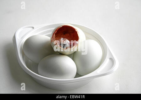 head of a duck embryo sticking out of a fertilized egg called balut, traditionally eaten as a delicacy and supposed aphrodisiac in the Far East Stock Photo