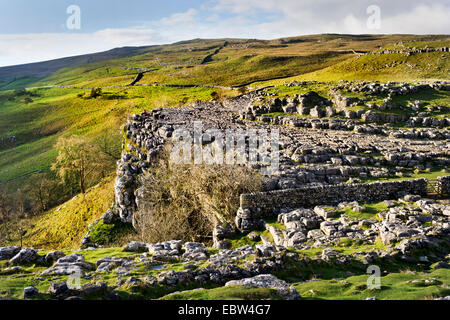 View of the top of Malham Cove, Yorkshire Dales National Park, UK Stock Photo