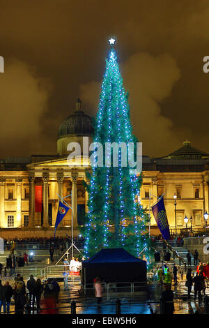 London, UK. 4th December 2014. Lighting of the Trafalgar Square Christmas Tree lights in Trafalgar Square, London, England Credit:  Paul Brown/Alamy Live News Stock Photo