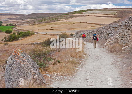 two pilgrims on the way from Hontanas to San Anton, Spain, Kastilien und Le¾n, Burgos Stock Photo