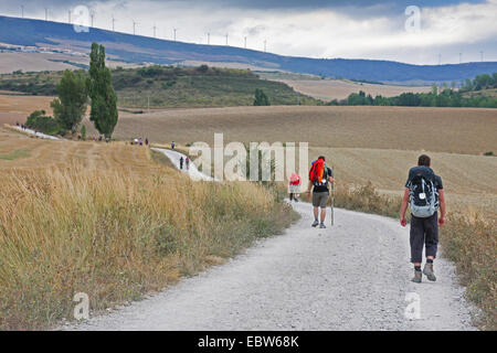 two pilgrims on the way from Pamplona to Alto del Perd¾n, Spain, Basque country, Navarra Stock Photo