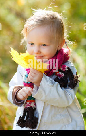 little girl collecting autumn leaves Stock Photo