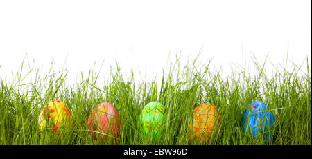 five Easter eggs in fresh green grass Stock Photo