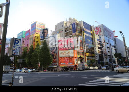 This image was captured in Akihabara, Japan in November 2014. Stock Photo