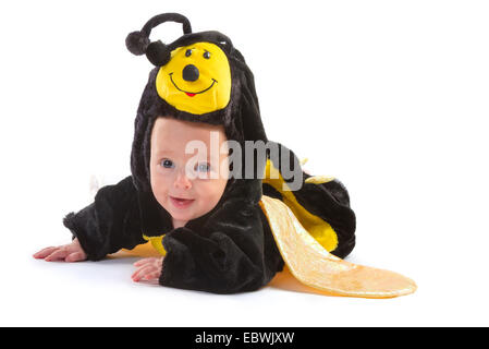 baby boy dressed up like bee on white background Stock Photo