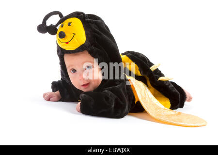 baby boy dressed up like bee on white background Stock Photo