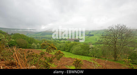 Panoramic view of Welsh landscape, mist over hill rising from valley of emerald green fields, clusters of trees & golden bracken Stock Photo