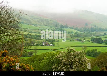 Welsh landscape with mist over hill rising from valley of emerald green fields bordered by hedgerows and clusters of trees Stock Photo