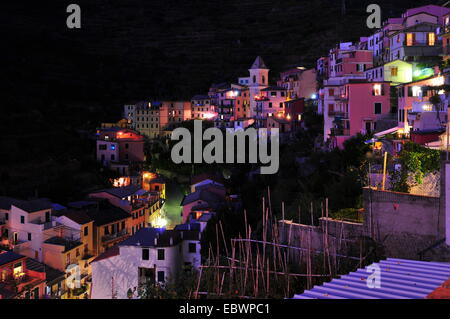 Illuminated village of Manarola at night, Manarola, Cinque Terre, Liguria, Italy Stock Photo
