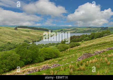 Welsh landscape, lake of Cray Reservoir in valley surrounded by trees & fields of golden grass in Brecon Beacons National Park Stock Photo