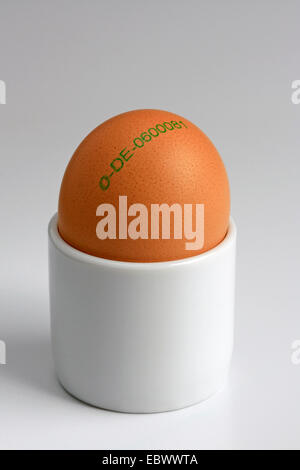 brown organic egg with lable in a coquetier, Germany Stock Photo