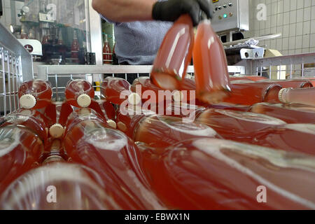 winery in Pfalz region, Germany, Rhineland-Palatinate, Siebeldingen Stock Photo