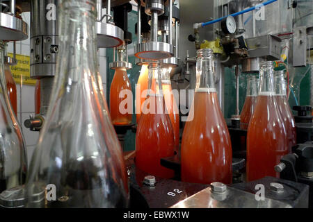 winery in Pfalz region, Germany, Rhineland-Palatinate, Siebeldingen Stock Photo