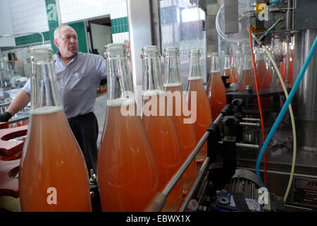 winery in Pfalz region, Germany, Rhineland-Palatinate, Siebeldingen Stock Photo