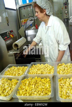 woman working in food factory for ravioli Stock Photo
