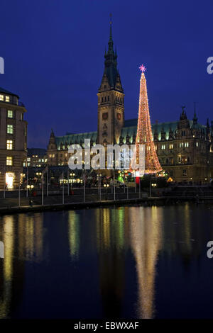 town hall in the evening with mordern christmas tree, Germany, Hamburg Stock Photo