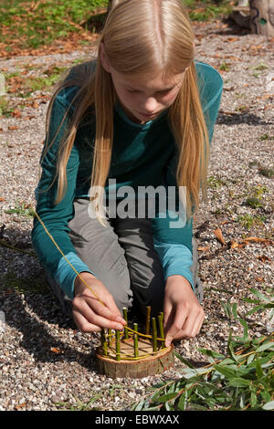 girl building an Easter basket from a tree disc, willow twigs, moss, daisies and coloured eggs; 3. step: weaving flexible willow twigs into the solide vertical ones, Germany Stock Photo