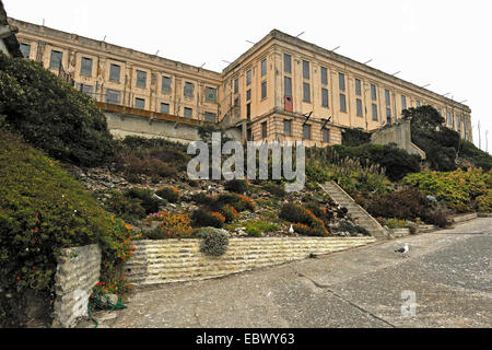 prison on Alcatraz Island, USA, California, Alcatraz Island Stock Photo