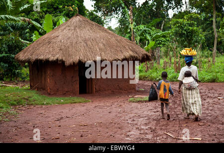 mother transporting bananas to the local market with her kids and passes a mud house, Uganda, Jinja Stock Photo