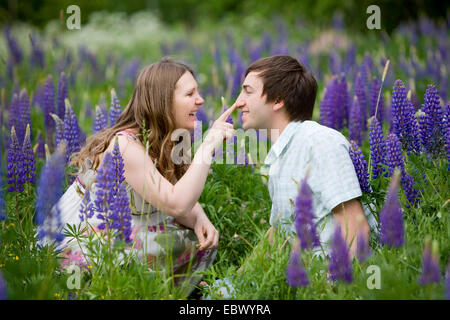 bigleaf lupine, many-leaved lupine, garden lupin (Lupinus polyphyllus), young couple romantically fooling around in a lupine field Stock Photo