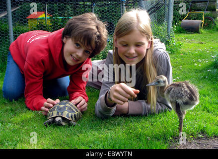 greater rhea (Rhea americana), girl friends lying in the grass with tortoise Stock Photo