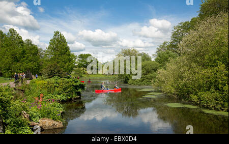 Family in bright red canoe paddling on calm blue water of lake among emerald vegetation of National Botanic Gardens, Wales Stock Photo