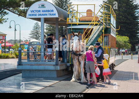 Victor Harbor horse drawn tram South Australia Stock Photo