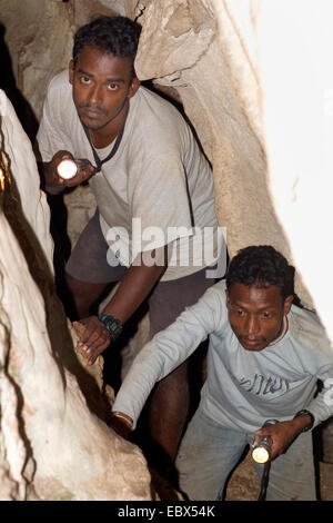 Edible-nest Swiftlets (Collocalia (Aerodramus) fuciphaga inexpectata), Indian scientists in Challis Ek Caves doing research on Edible-nest Swiftlets, India, Andaman Islands, North Andaman Stock Photo