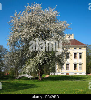 Luisium, castle and park with white arch bridge, Germany, Saxony-Anhalt, Dessau Stock Photo