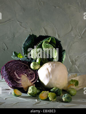 red cabbage (Brassica oleracea var. capitata f. rubra), white cabbage, red cabbage, savoy and Brussels sprouts Stock Photo