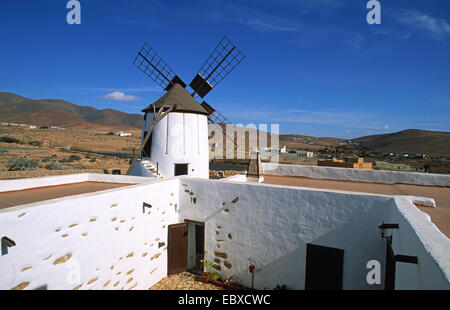 Windmill in the museum Centro de Interpretacion de los Molinos, Canary Islands, Fuerteventura, Tiscamanita Stock Photo