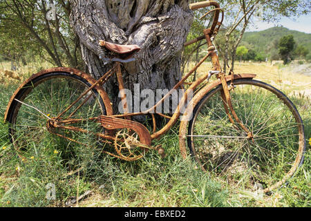 A Rusty Old Bicycle Leans Against a Wall at Cape Otway 