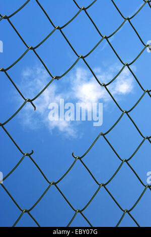 a hole in the wire mesh Stock Photo