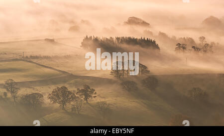 Mist covered rolling countryside at dawn, Lake District, Cumbria, England. Autumn (November) 2014.