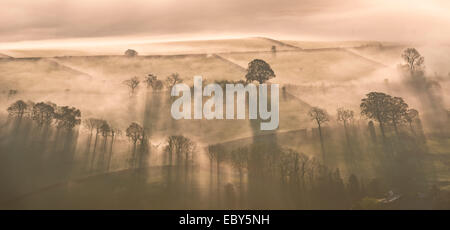 Early morning mist covered farmland, Lake District, Cumbria, England. Autumn (November) 2014. Stock Photo